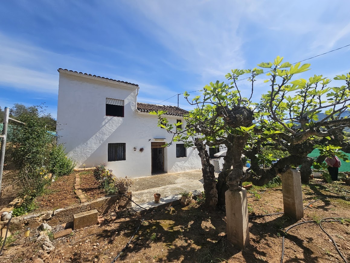 5 Bedroom Property for Sale in Xativa