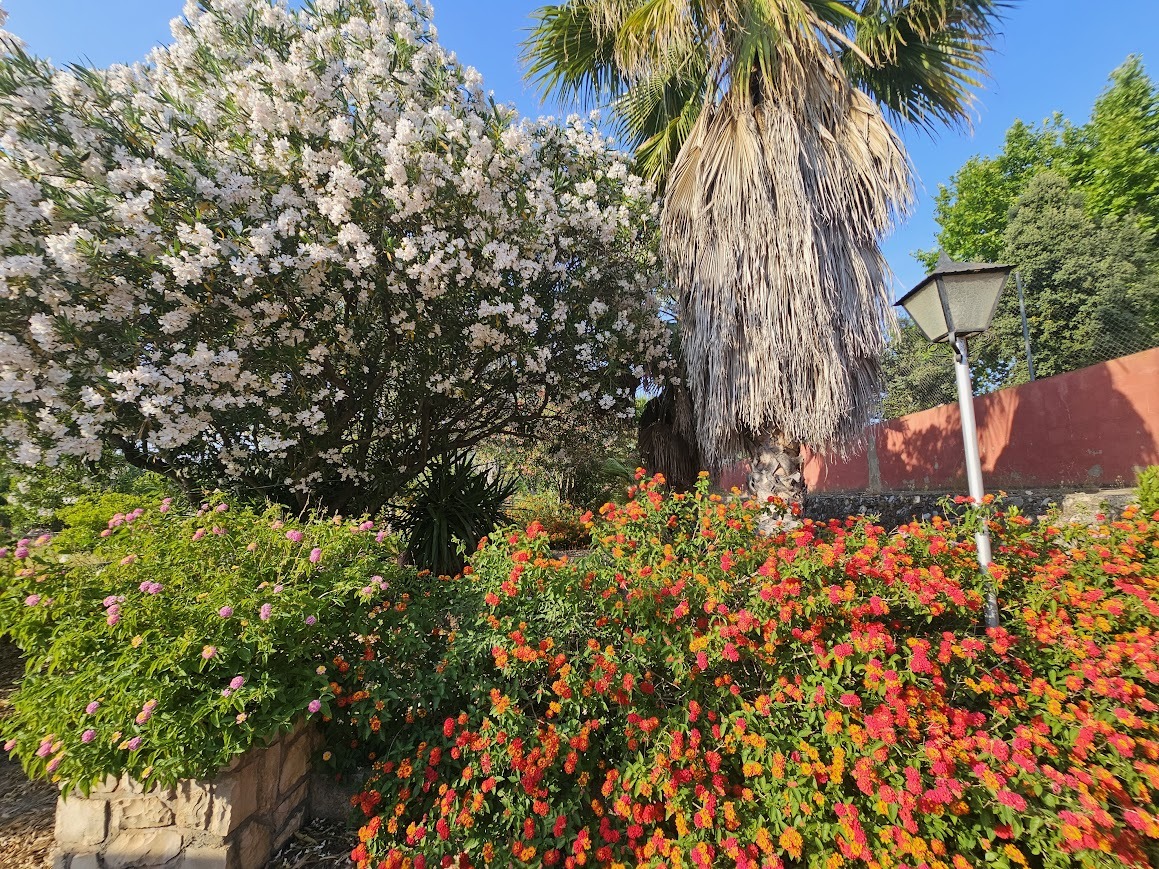 3 Bedroom Property for Sale in Canals