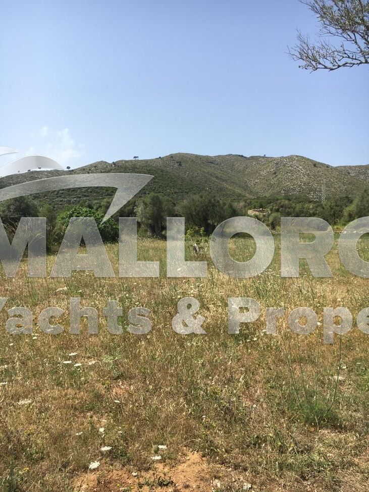Property Image 3 Property Image 3