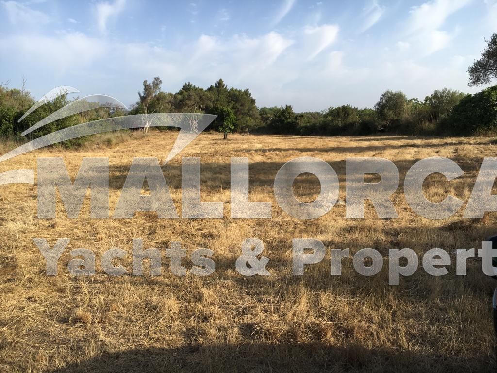 Land And Plots for Sale in Capdepera