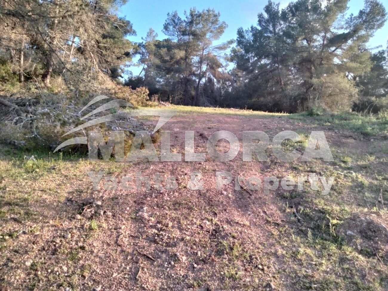 Property Image 1 Property Image 1
