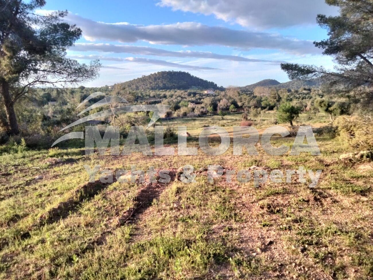 Property Image 3 Property Image 3