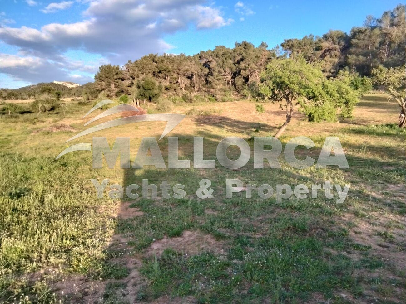 Land And Plots for Sale in Felanitx