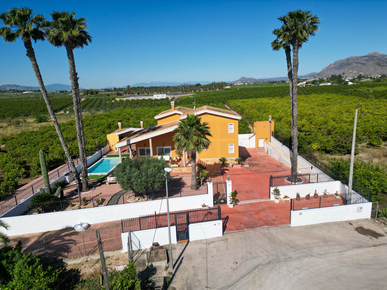 Farm, Ranch or Equestrian in Los Montesinos - Image 3