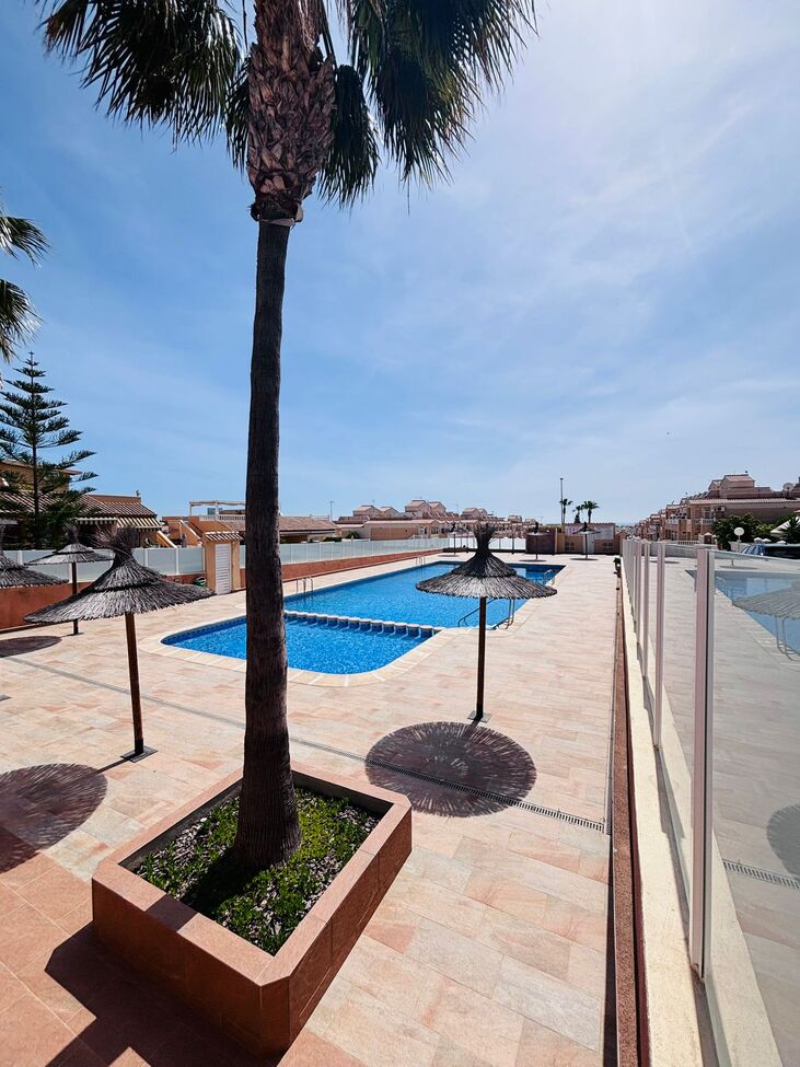 SPSDX230 — Punta Prima bild 17